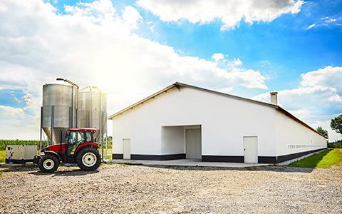 Landwirtschaftliche Bauten